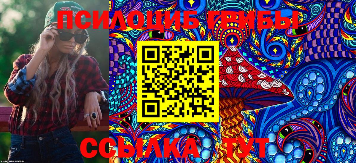 Псилоцибиновые грибы Psilocybine cubensis Сибай